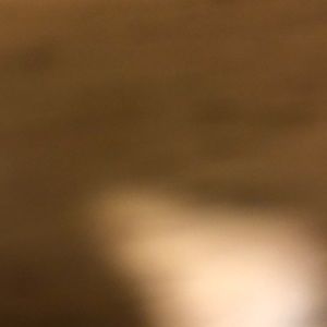 Meet your Posher, Sana